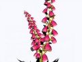 flatcastsonsuzadek-levuun6.1png