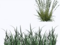 grass_01_M-min