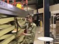 Snake Catcher Retrieves Carpet Python from Shopping Center