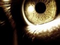 eye