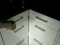 gifs-12