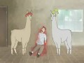 Ламы в шляпах