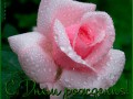 С  Днем рождения