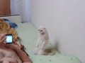 КОШКА НА КОЛЕНЯХ СЛУШАЕТ ГИМН РОССИИ
