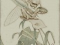 EdBi1