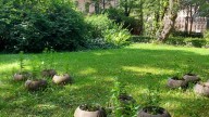 20260729_130329 копия