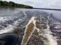 20170909 150643. Моторная лодка. Двухтактные лодочные моторы