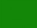 Индийский зеленый	#138808	19	136	8