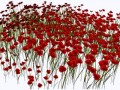 _1_yapfiles.ru (2)