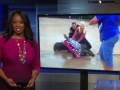 Big gator 'Godzilla' captured in Sugar Land shopping center