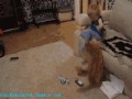 gifs_081