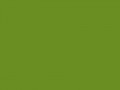 Нежно-оливковый	#6B8E23	107	142	35