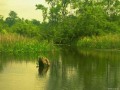 pond00012