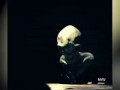 Интервью с потомком человека или пришельцем. Правда или фейк?