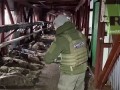 Соледар