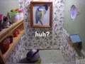 Ремонт у синички