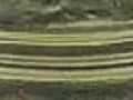 15850041.jpg