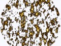 диск оптима