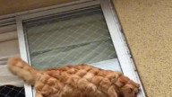 tUhNyF4slHg