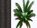 tree_02_koshka[1]