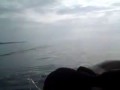 Video Shows 'prank' as surfer is pushed into the water right in frond of a SHARK