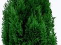 0_102846_f82cbdc8_ori7(1)