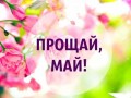 8л