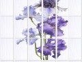 1_plit_vannaya_sir_yapfiles.ru