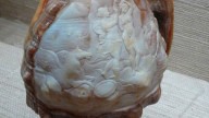 LIZZADRO LAPIDARY MUSEUM of Art, Elmhurst Illinois Virtual Tour