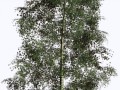 2_yapfiles.ru