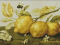 Lemon1
