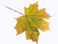 0_ca8b6_3cf89b9e_SПлеер
