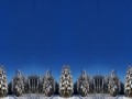 в снегу исправ
