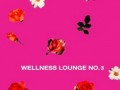 Wellness Lounge No.3