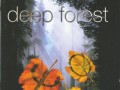 Deep Forest - Marta's Song