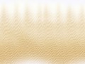 sand1+