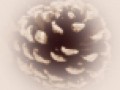 3_4