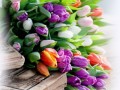 1_1_1