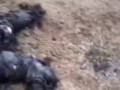Бывшие штурмовики ВСУ