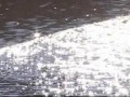 Осенняя видео зарисовка
