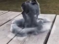 Завораживает