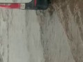 Щербинка обочечник потоп