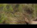 Трейлер. Братья из Гримсби .слон и слониха
