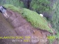 Dangerously Steep Trekking Steps In India