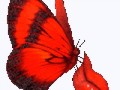 153103208_92235262плеер