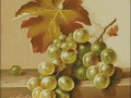 Vinograd