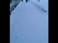 В Якутске зоозащитники сами отравляют собак?!!!