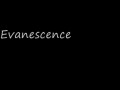 Evanescence - Bring Me To Life