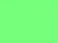 Кричащий зеленый	#76FF7A	118	255	122