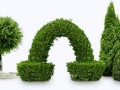 bush_PNG7224-min